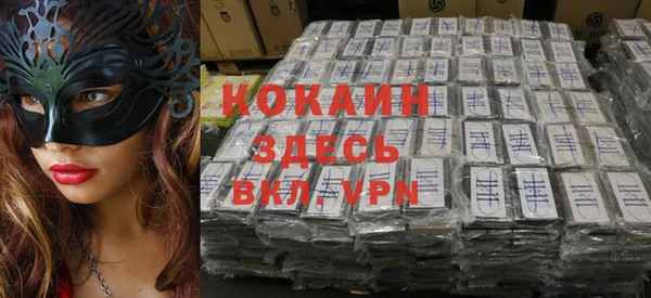 кокс Арсеньев