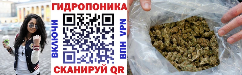 маркетплейс какой сайт  Москва  Канабис SATIVA & INDICA 